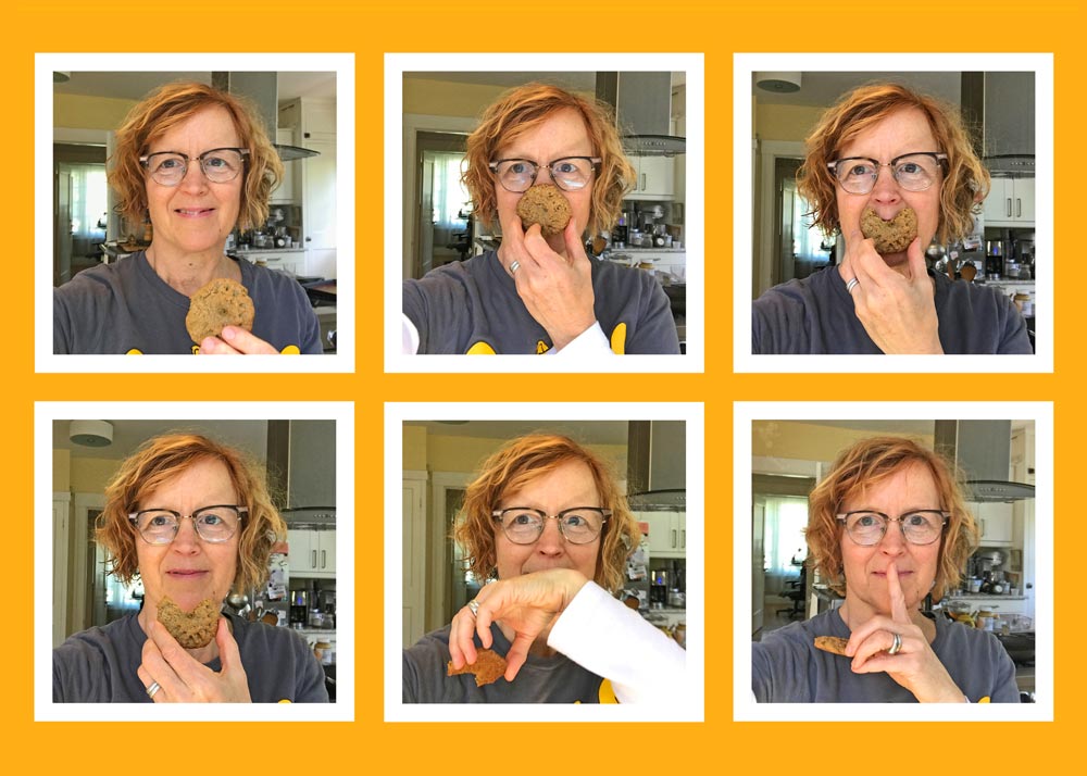 Maple Sunflower Butter Cookies