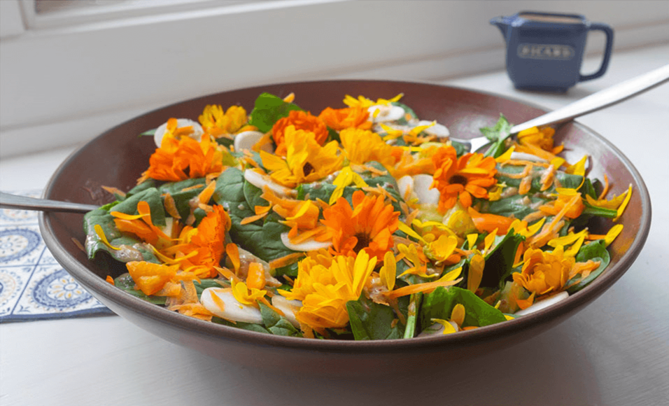 Simply Delish Recipe Book